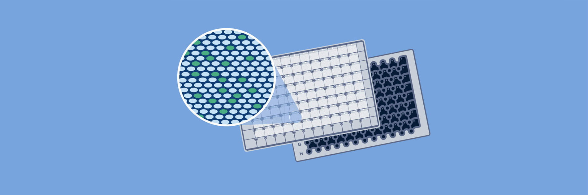 Digital PCR | dPCR technology | QIAGEN