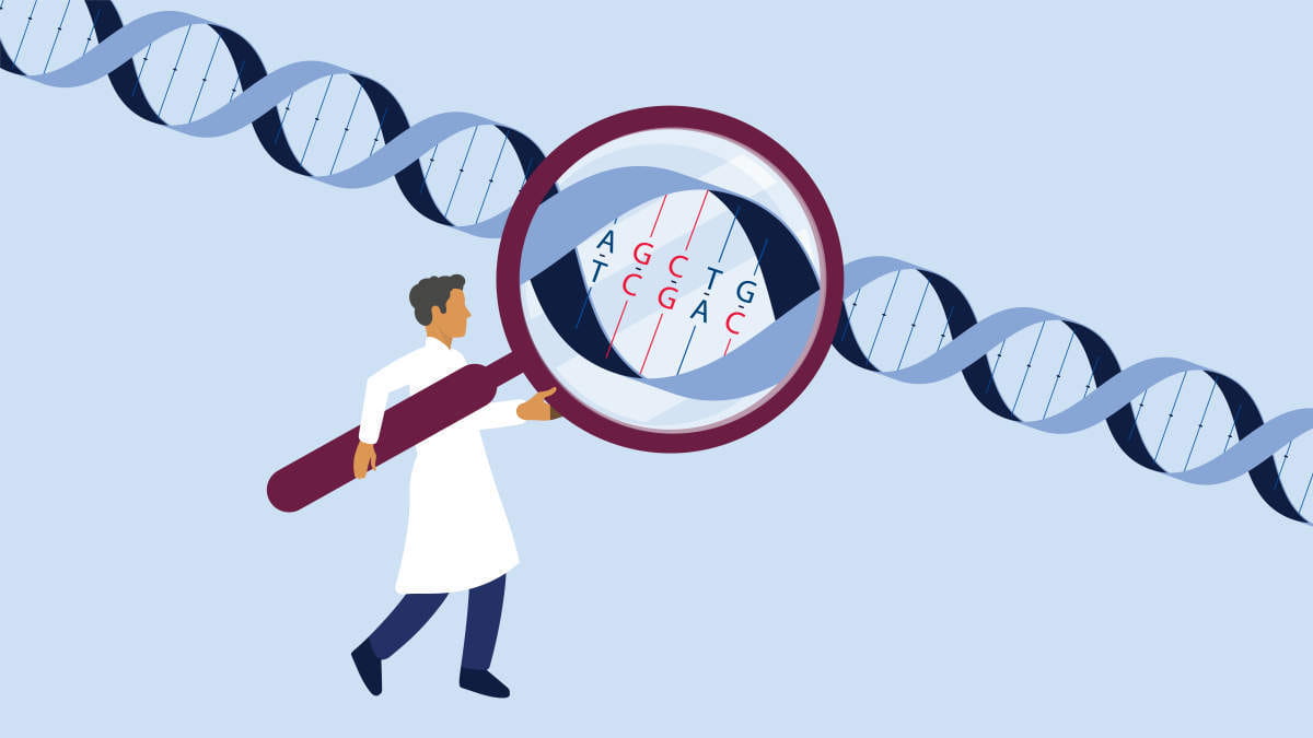 DNA profiling — Science Learning Hub