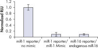 内源性 miRNA 和 miScript miRNA Mimic 的下调效果相当。