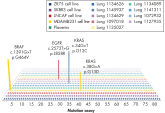 Sensitivity of qBiomarker Somatic Mutation PCR Arrays with FFPE samples.