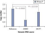 RNase P and other single-copy genes are not suitable normalizers for sample input.
