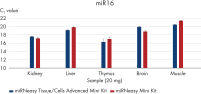 High recovery of miRNA without the need for phenol
