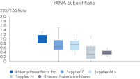 rRNA Subunit Ratio