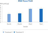 Easy and effective lysis of tissue samples for RNA extraction with a pre-programmed protocol