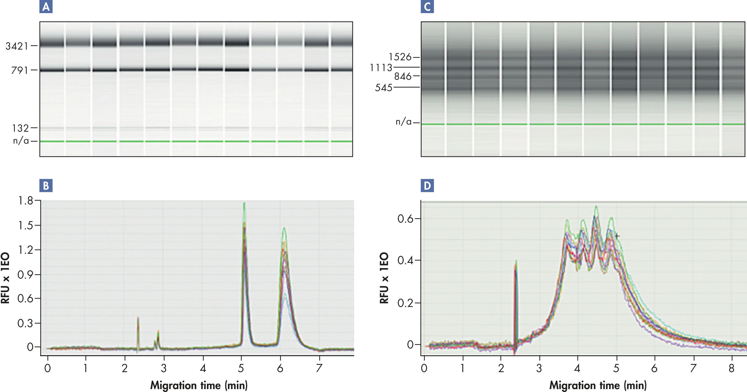 QIAxcel RNA Kits