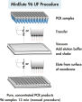 MinElute 96 UF PCR Purificationの操作手順。