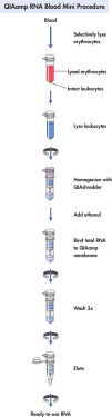 QIAamp RNA Blood Mini procedure.