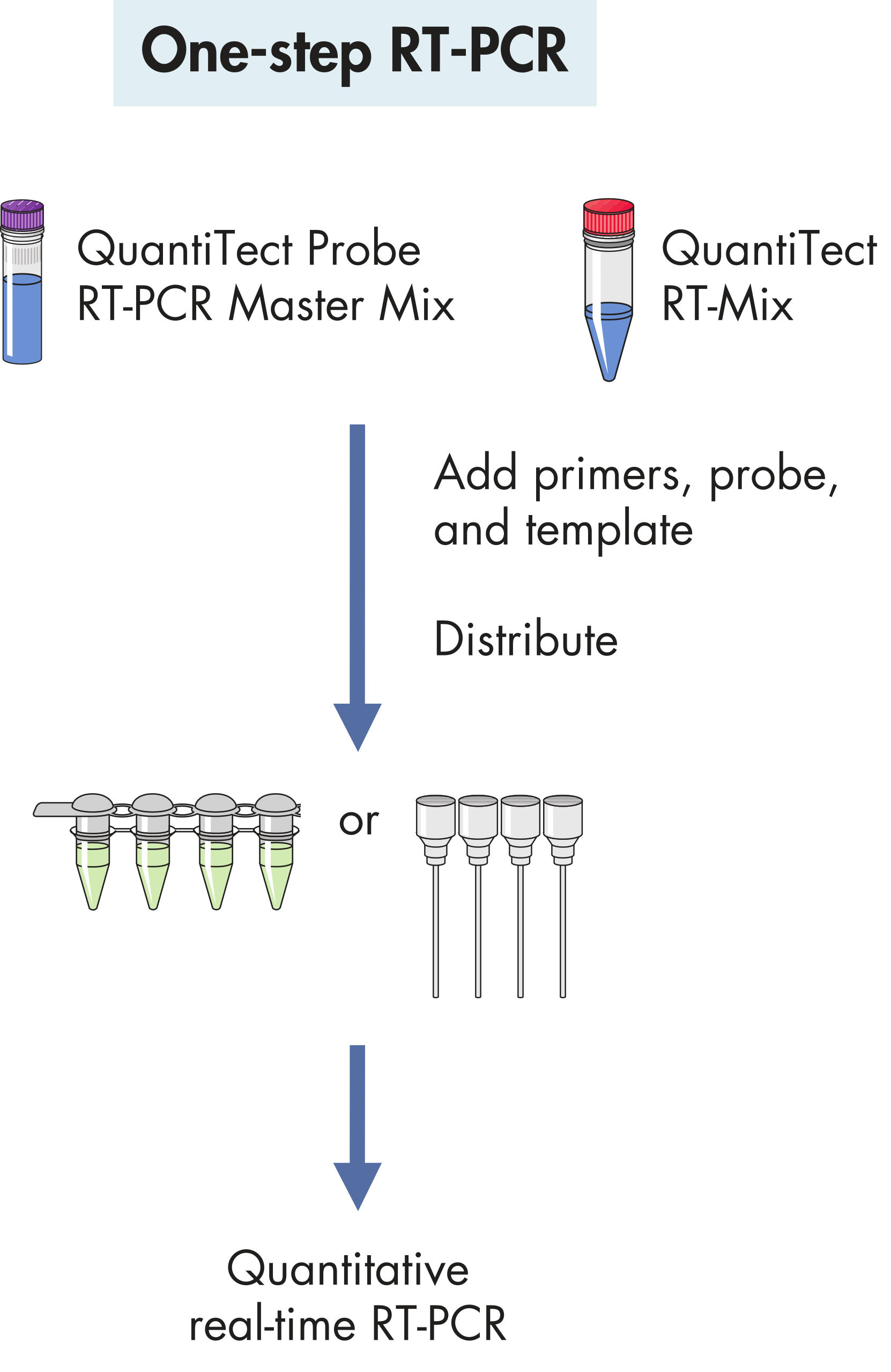 QuantiTect RT-PCR