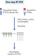RT-PCR de un paso con sondas específicas de secuencia.