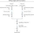 REPLI-g Single Cell Kit procedure.