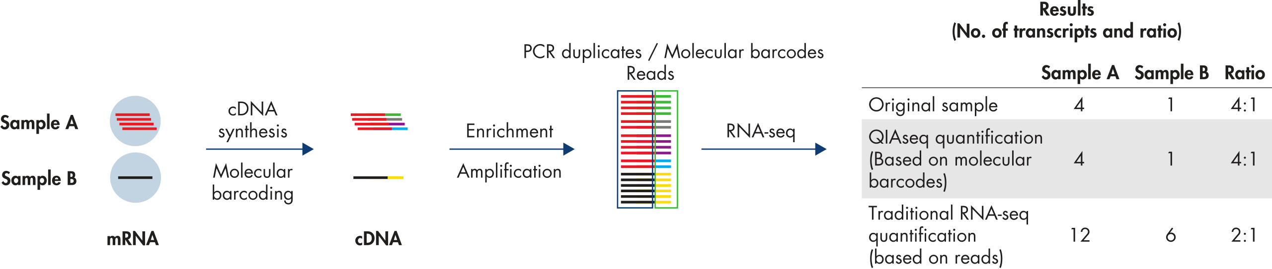 QIAseq Targeted RNA Panels and Indices