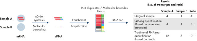 Digital sequencing (molecular barcodes) principle