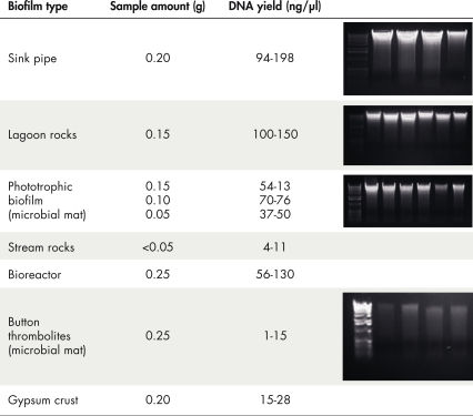 Figure 1: High-quality biofilm DNA isolated from a range of locations.