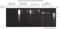Superior performance in long range PCR