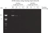 Superior performance and yield in long range PCR compared to precursor kit
