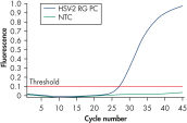 Detection of the HSV-2 positive control.