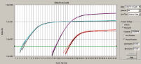 Amplificación comparable en la PCR triple y las PCR simples.