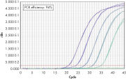 Wide dynamic range in real-time PCR.