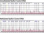 EpiTect Control DNA Pyrogram.