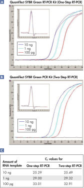 1ステップRT-PCRと2ステップ RT-PCRでは同等の結果が得られます。