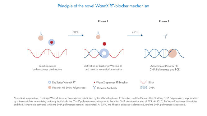 Principle of the ZipScript WarmX RT blocker mechanism