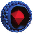 Varicella-zoster virus.