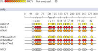 EpiTYPER MALDI-TOF analysis of WBA DNA.