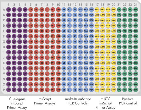 E 和 G 板式的 miScript miRNA QC PCR 阵列布局。