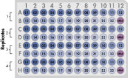 qBiomarker Copy Number PCR Array, 96-well plate format.