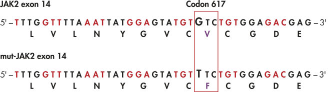 JAK2 mutation site identification.