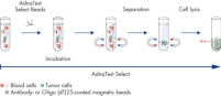 AdnaTest Select – Immunomagnetic cell selection with multiple tumor-associated