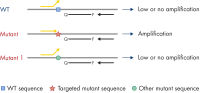 Identification of specific mutation by ARMS PCR.