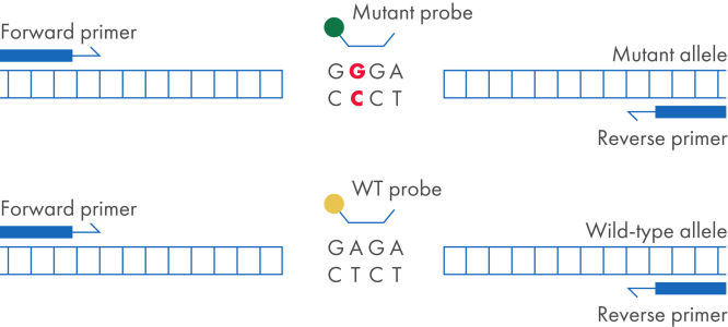 Configuration du dPCR LNA Mutation Assay.