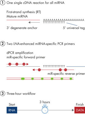 miRCURY LNA miRNAデジタル PCRシステムの概略図。