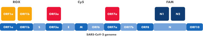 Targets of the SARS-CoV-2 Neo Assay within the viral genome and detection channels
