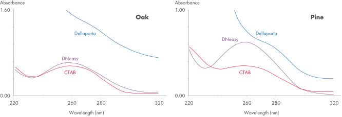 DNA purity from oak leaves and pine needles.