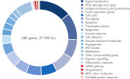 Gene content of QIAseq Tumor Mutational Burden Panels