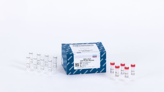 QIAGEN UniCore Punch Kit Dia.: 6 mm; 4 Pk.:Molecular Biology