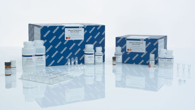 QIAamp DNA Blood Kits