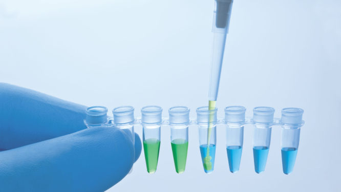 Accurate reaction setup indicated by the built-in pipetting control.