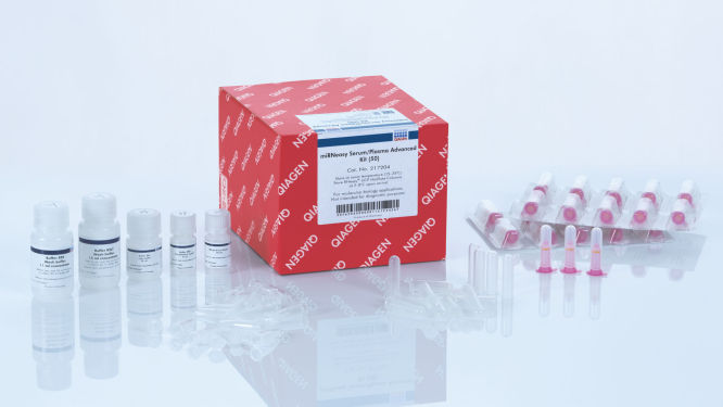 miRNeasy Serum/Plasma Advanced Kit |miRNA Isolation | QIAGEN